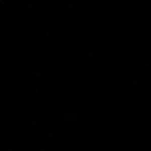 Meet your Posher, Sammy